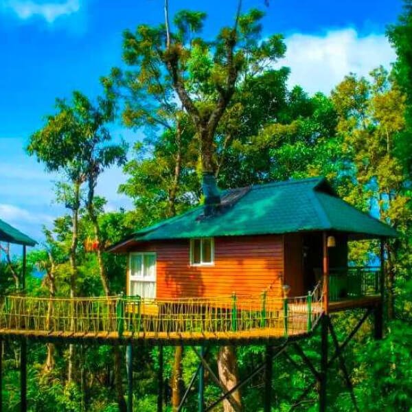 Tree Resorts Munnar